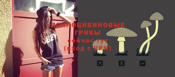 дмт Армянск