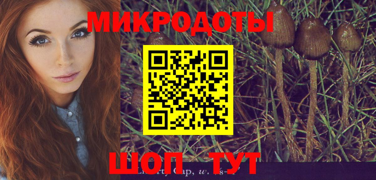 Светлоград  Галлюциногенные грибы Psilocybine cubensis  Вход с VPN  Псилоцибиновые грибы Psilocybe 
